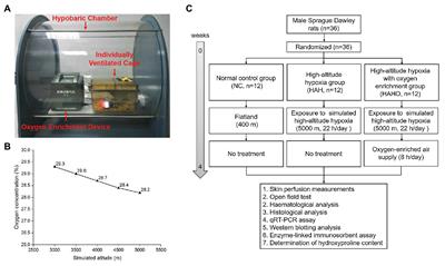 Oxygen Enrichment Ameliorates Cardiorespiratory Alterations Induced by Chronic High-Altitude Hypoxia in Rats